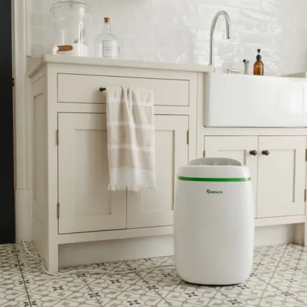 Top Rated Dehumidifiers to Prevent Damp and Mold in Your House